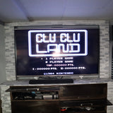 CLU CLU LAND TEST CARTRIDGE - Authentic US System Test From Japan/Prototype-Style Cartridge! (NES Nintendo)