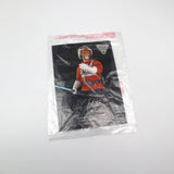 LUKE SKYWALKER SNOWSPEEDER PILOT DELUXE MINI BUST #392 of 480 - STAR WARS 2013 PREMIER GUILD EXCLUSIVE - GENTLE GIANTS